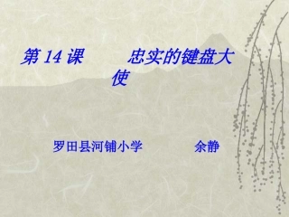 忠实的键盘大使