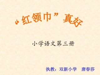 《红领巾真好》课件5