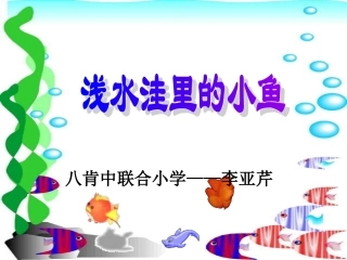 浅水洼里的小雨PPT课件-副本