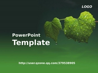 漂亮的绿色叶子PPT模板