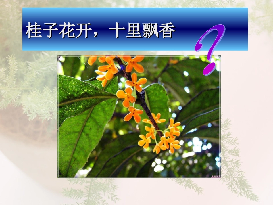 课题2人教版分子和原子（第一课时新00000000_第1页