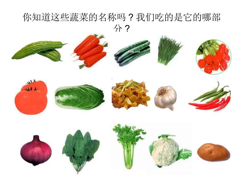 幼儿园大班科学《吃植物的哪部分》课件_第2页