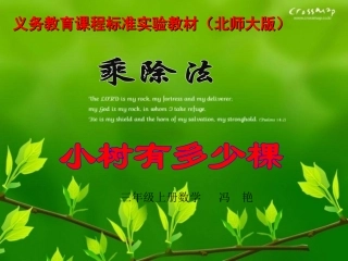 小树有多少棵课件