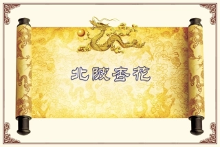《北陂杏花》教学课件