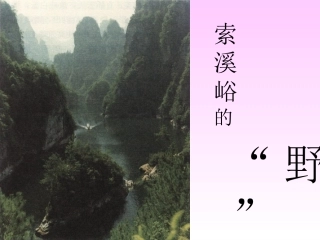 六年级语文上册第一组4索溪谷的“野”第一课时课件