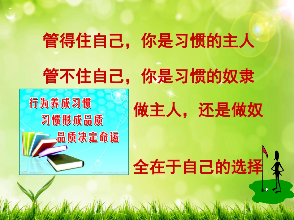 小学生行为习惯的养成教育201411(1)_第3页