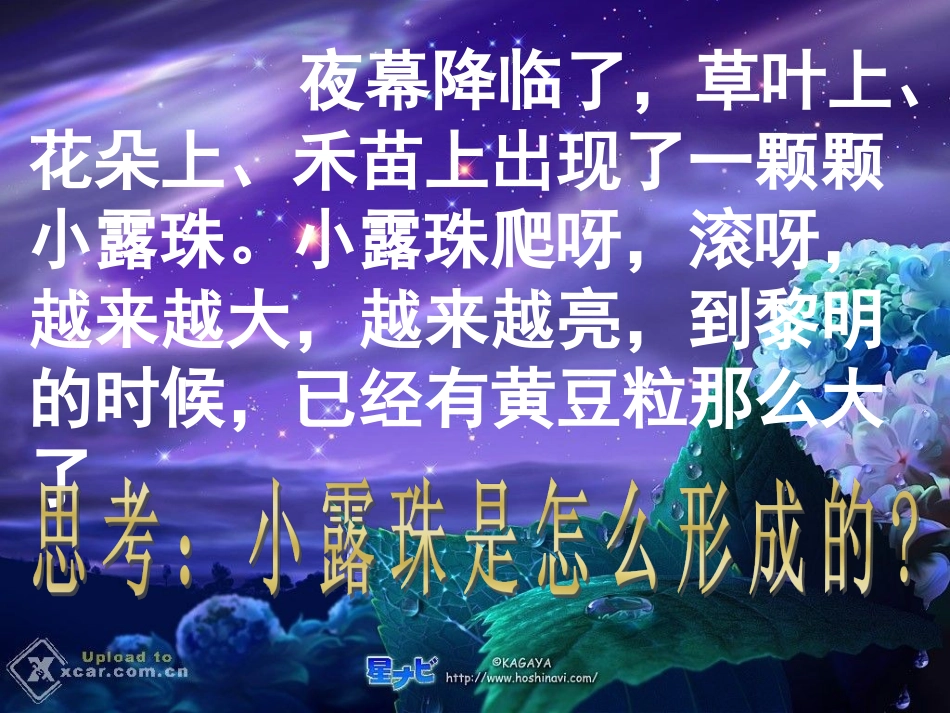三年级语文上册第五组2小露珠第二课时课件_第3页