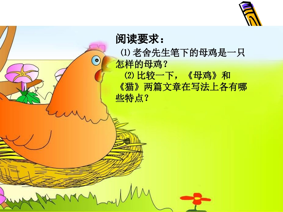 母鸡教学课件(那坡县城厢镇中心小学梁廷旺)_第3页