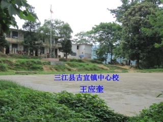 台湾的蝴蝶谷423