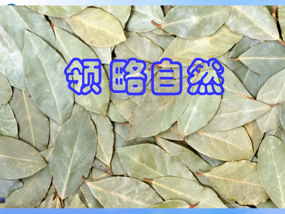 山东11敬畏自然_第2页