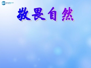 山东11敬畏自然