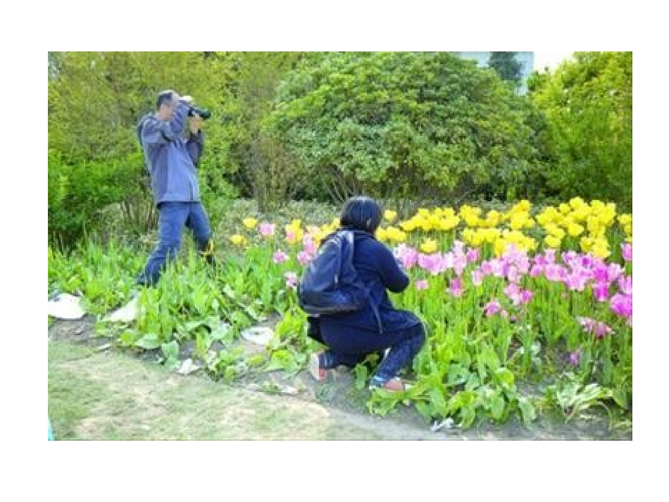 《做文明顾客》课件_第2页