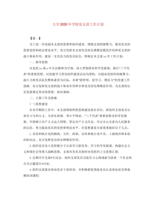 大学年学校党支部工作计划