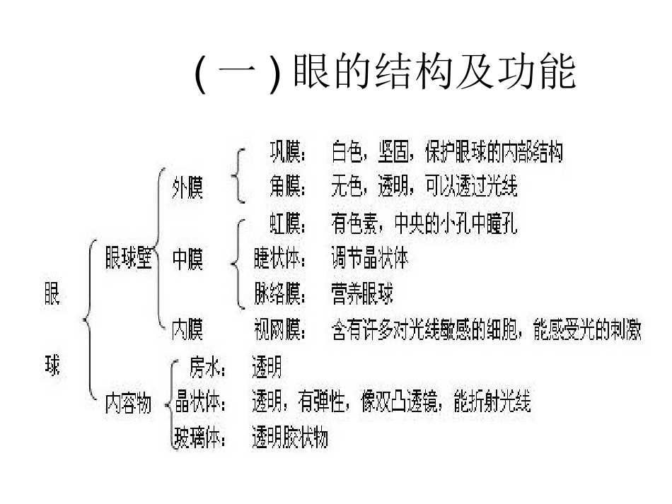 人体生命活动的调节_第2页