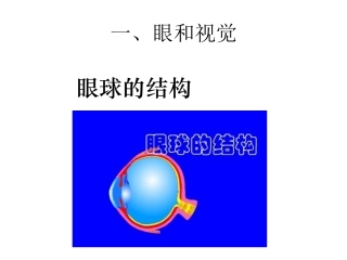 人体生命活动的调节