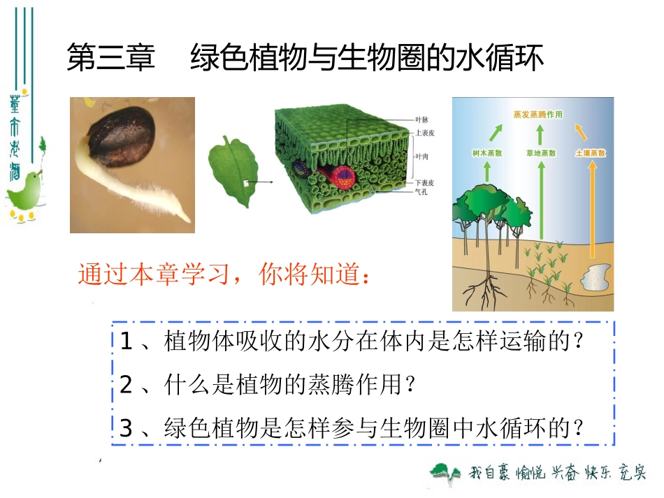 最新人教版330绿色植物与生物圈的水循环_第1页