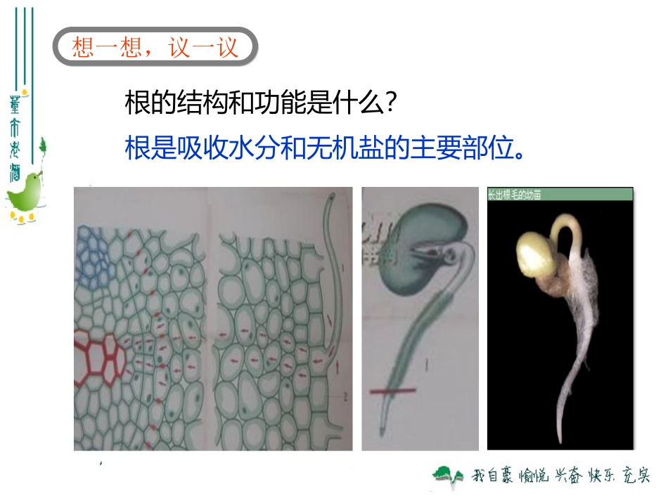 最新人教版330绿色植物与生物圈的水循环_第3页