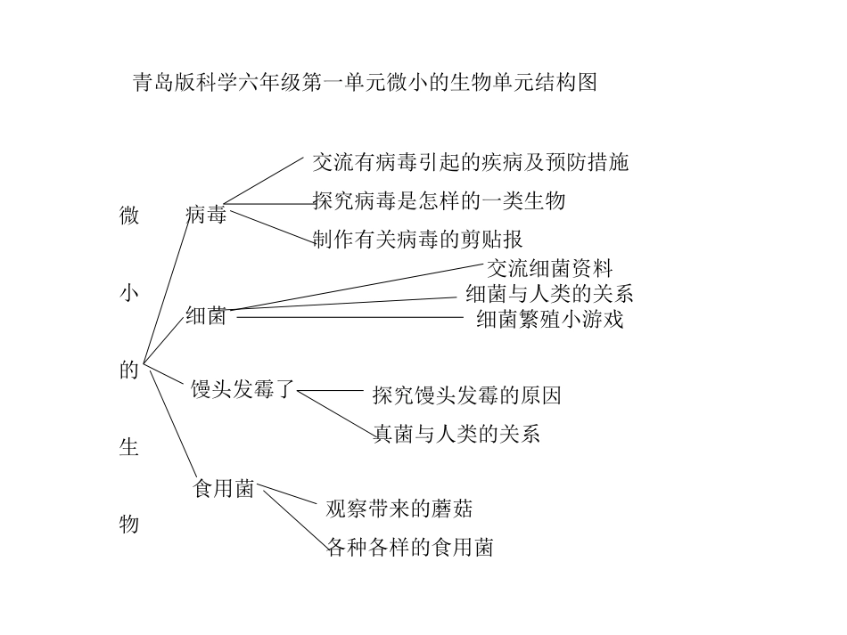 微小的生物单元结构图_第1页