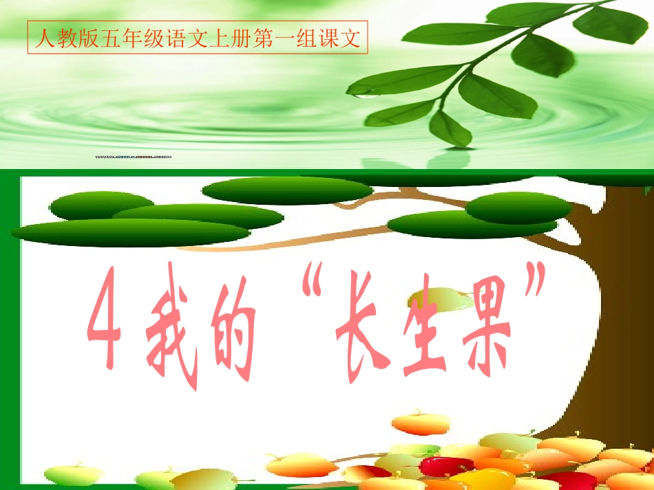 人教版五年级语文上册第一组《我的“长生果”》PPT课件_第1页