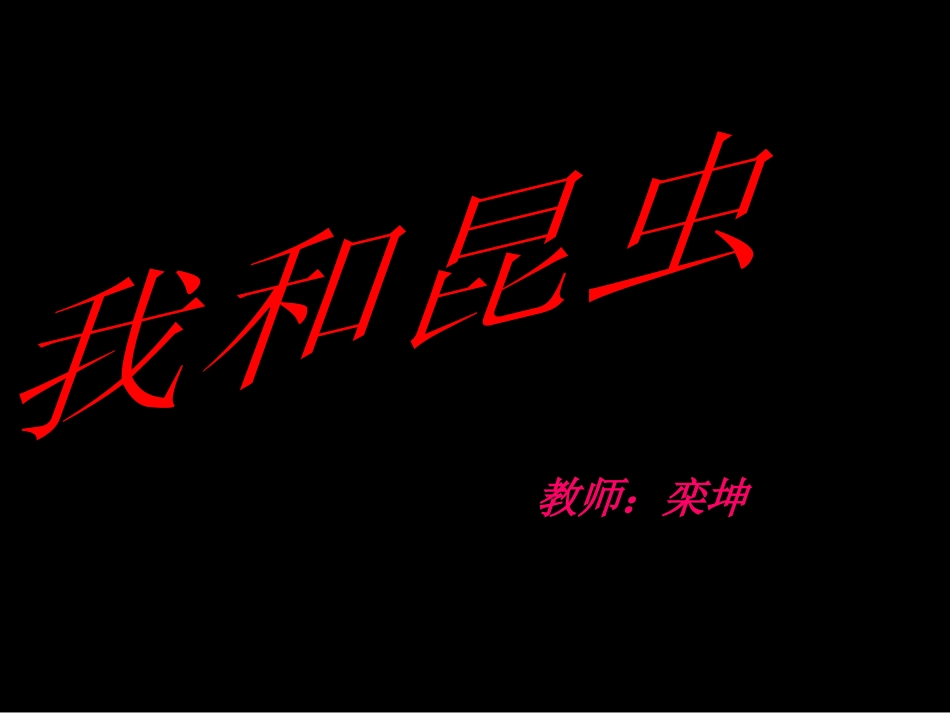 我和昆虫教学课件_第1页