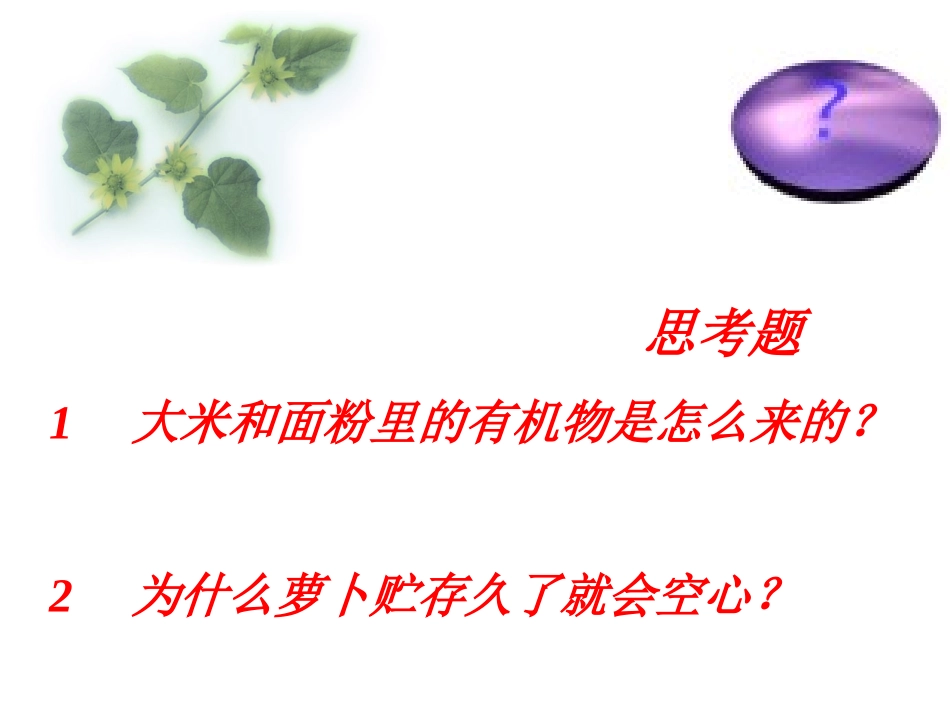 有机物的制造和分解_第1页