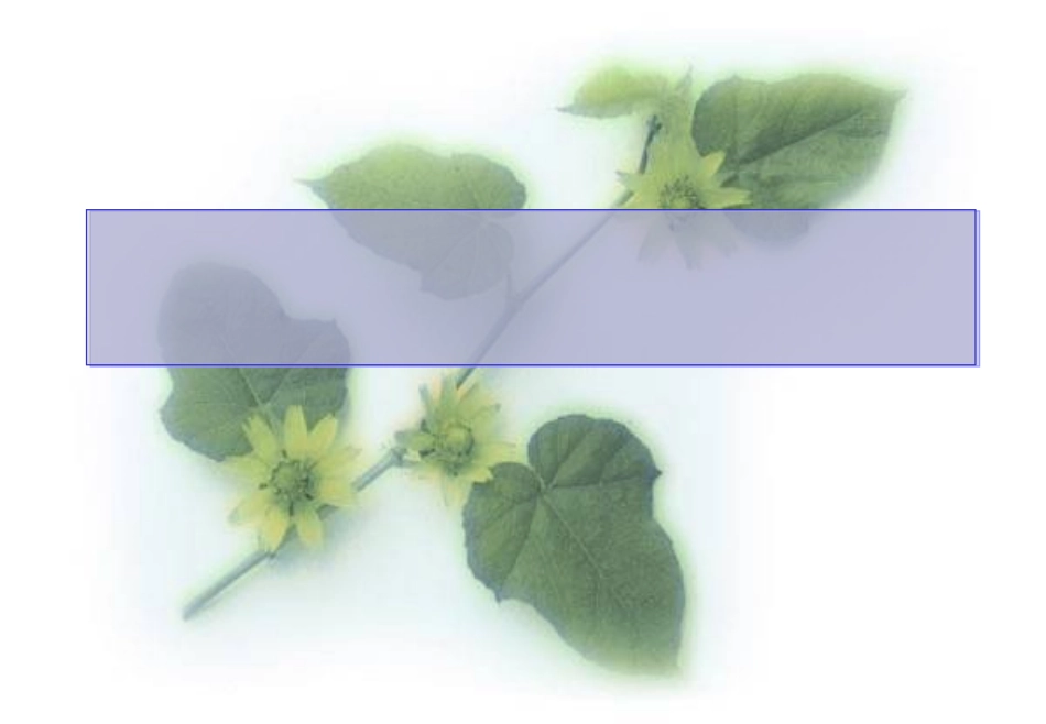 金属活动顺序表的简单运用_第1页