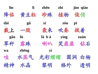小露珠_小学课件