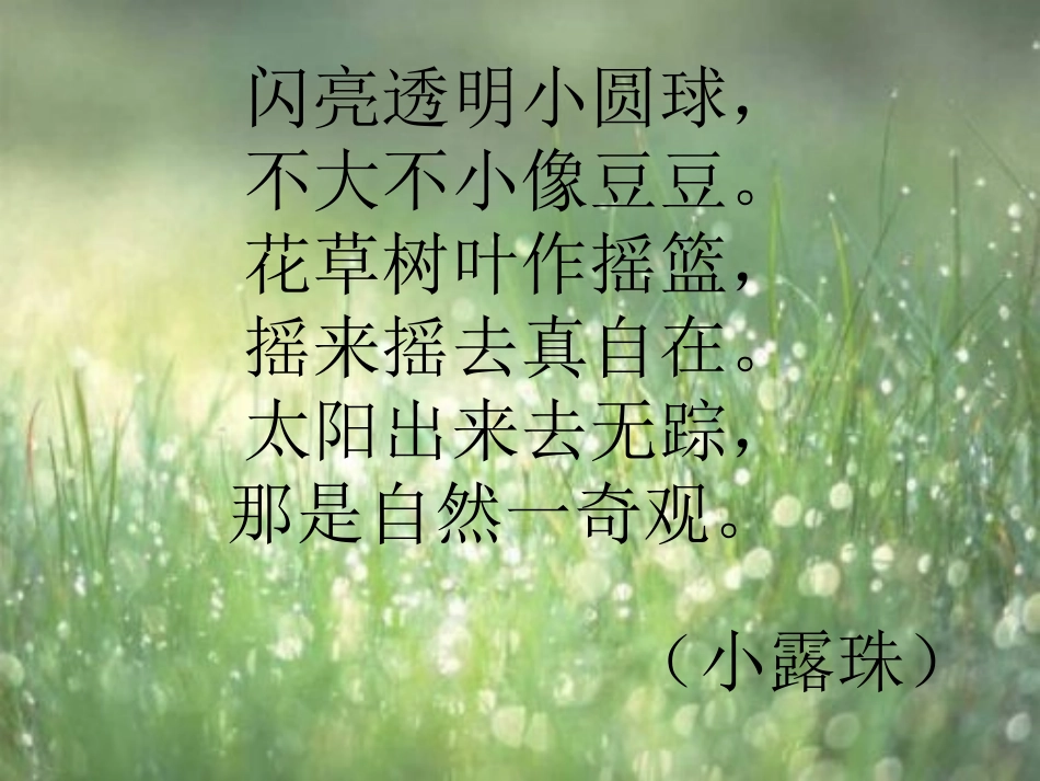 小露珠_小学课件 (2)_第1页