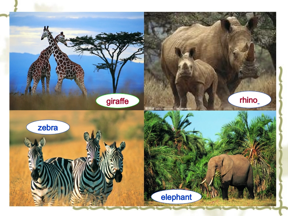 AstudentofAfricanwildlife课件_第3页