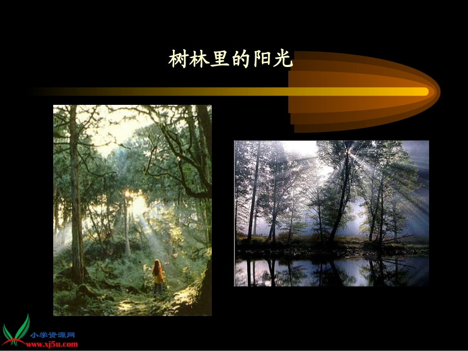 苏教版小学科学五年级上册《光的行进》PPT课件_第3页