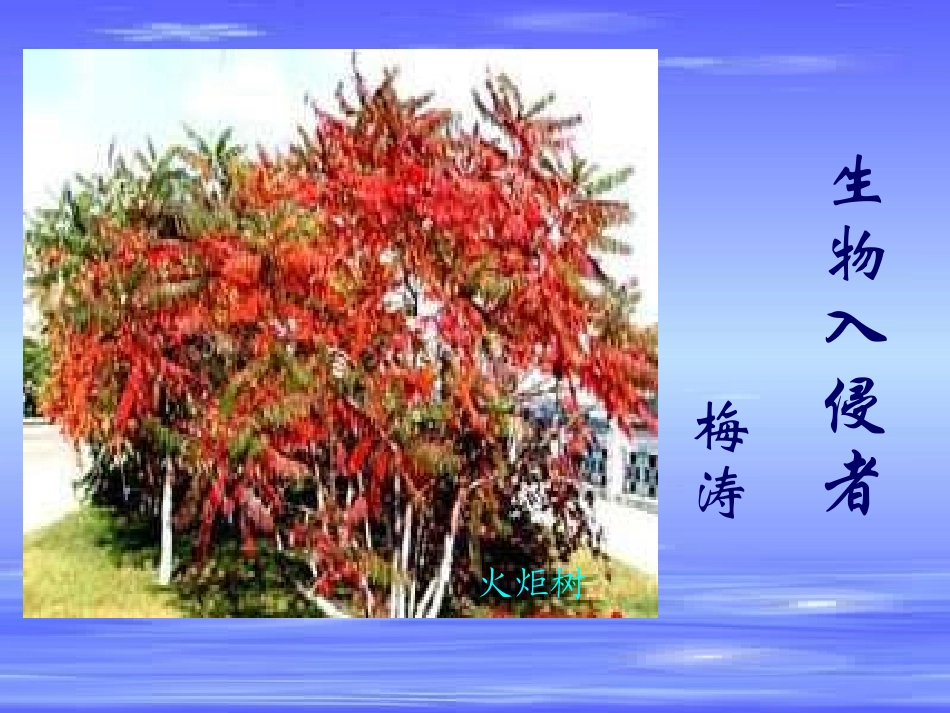 《生物入侵者》课件4_第2页