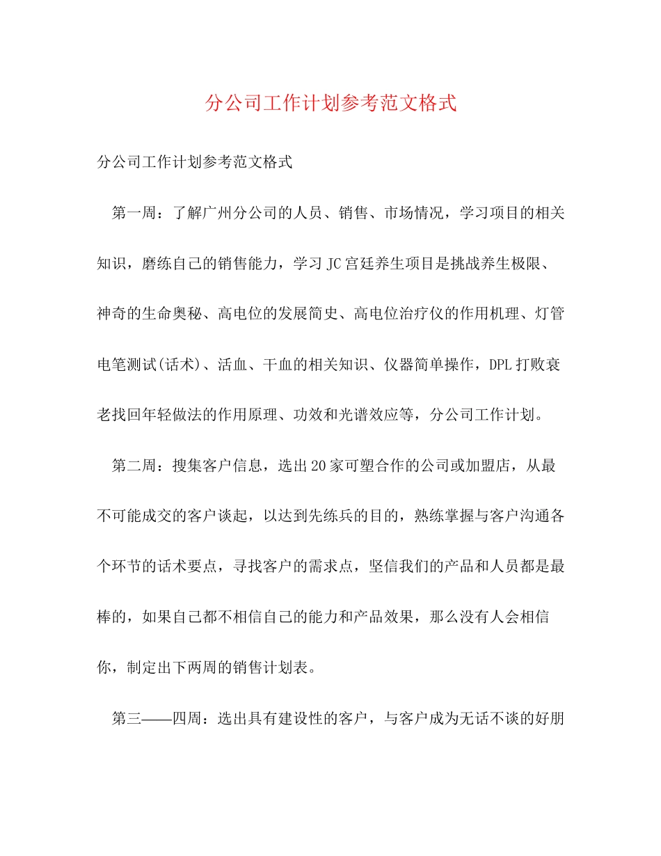 分公司工作计划参考范文格式_第1页