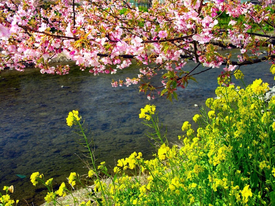 永生的眼睛 (2)_第2页