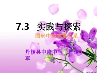 方程组实践与探索2