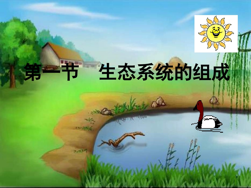 生态系统组成课件_第2页