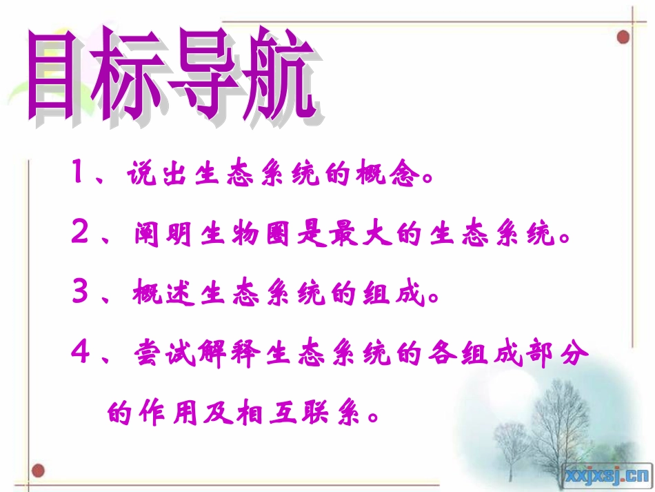 生态系统组成课件_第3页