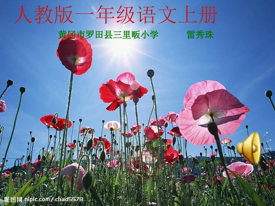 一上语课文8《阳光》雷秀珠_第1页