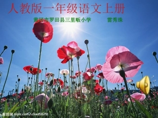 一上语课文8《阳光》雷秀珠