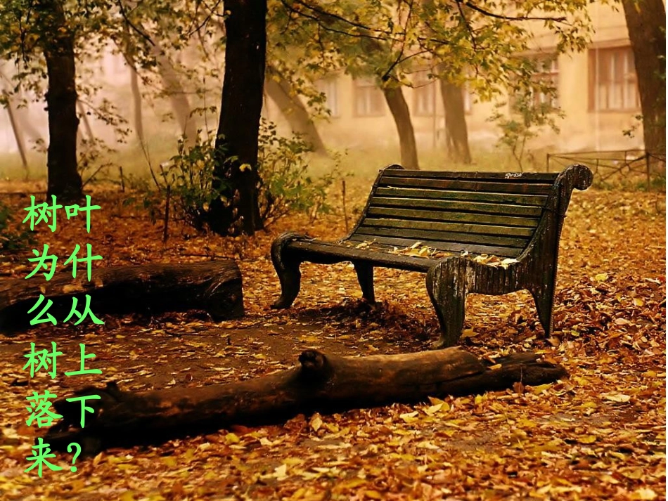 四年级苹果为什么会落地_第3页