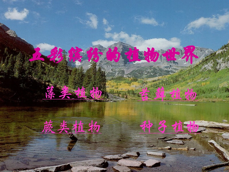五彩缤纷的植物世界_第2页