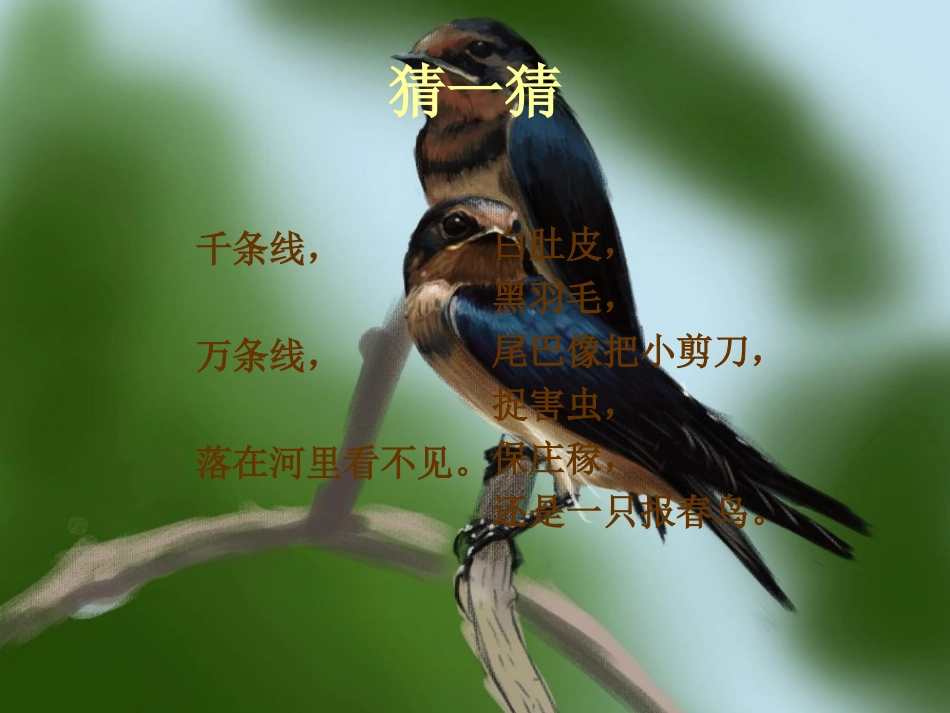 《嘀哩嘀哩》教学演示课件_第2页