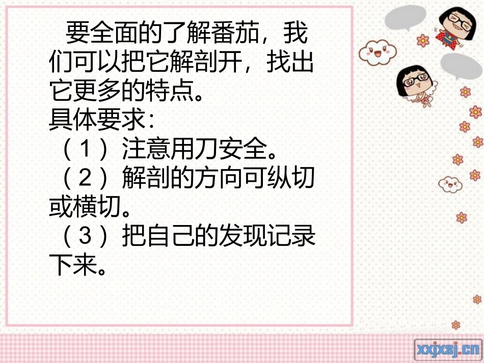 三年级上册科学《番茄》粤教版(2)_第2页