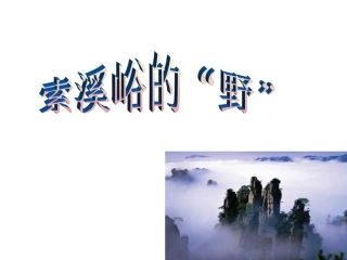 索溪峪的“野”PPT