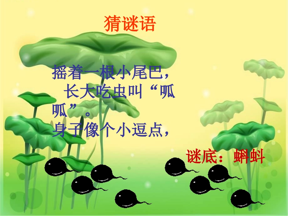 小蝌蚪找妈妈(1)_第2页