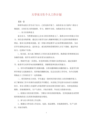 大学实习生个人工作计划