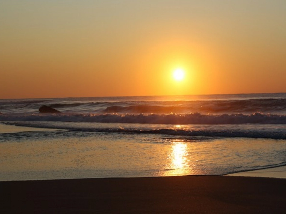 一年级上册8《阳光》课件_第3页