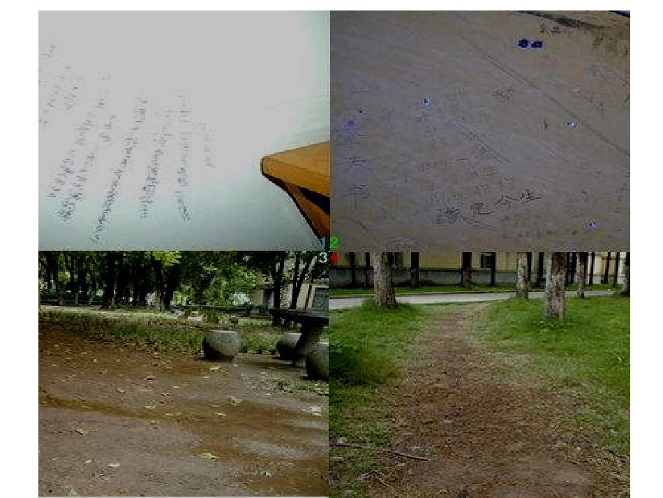 沪教版思品八上3-3《依法保护公共设施》PPT课件4_第2页