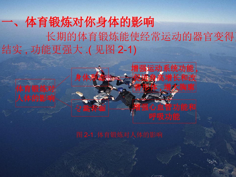 体育锻炼是促进身体健康的主要手段_第2页