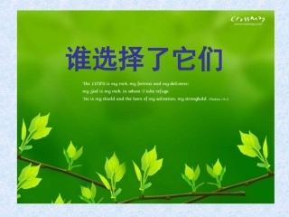 小学科学_六年级上册_《谁选择了它们》课件
