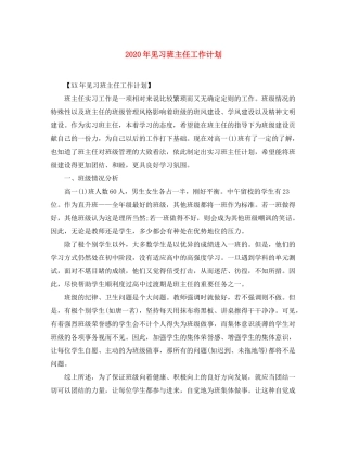 2020年见习班主任工作计划